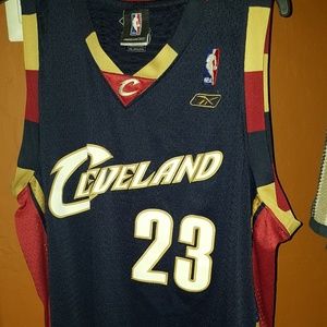 Lebron James Mens Jersey